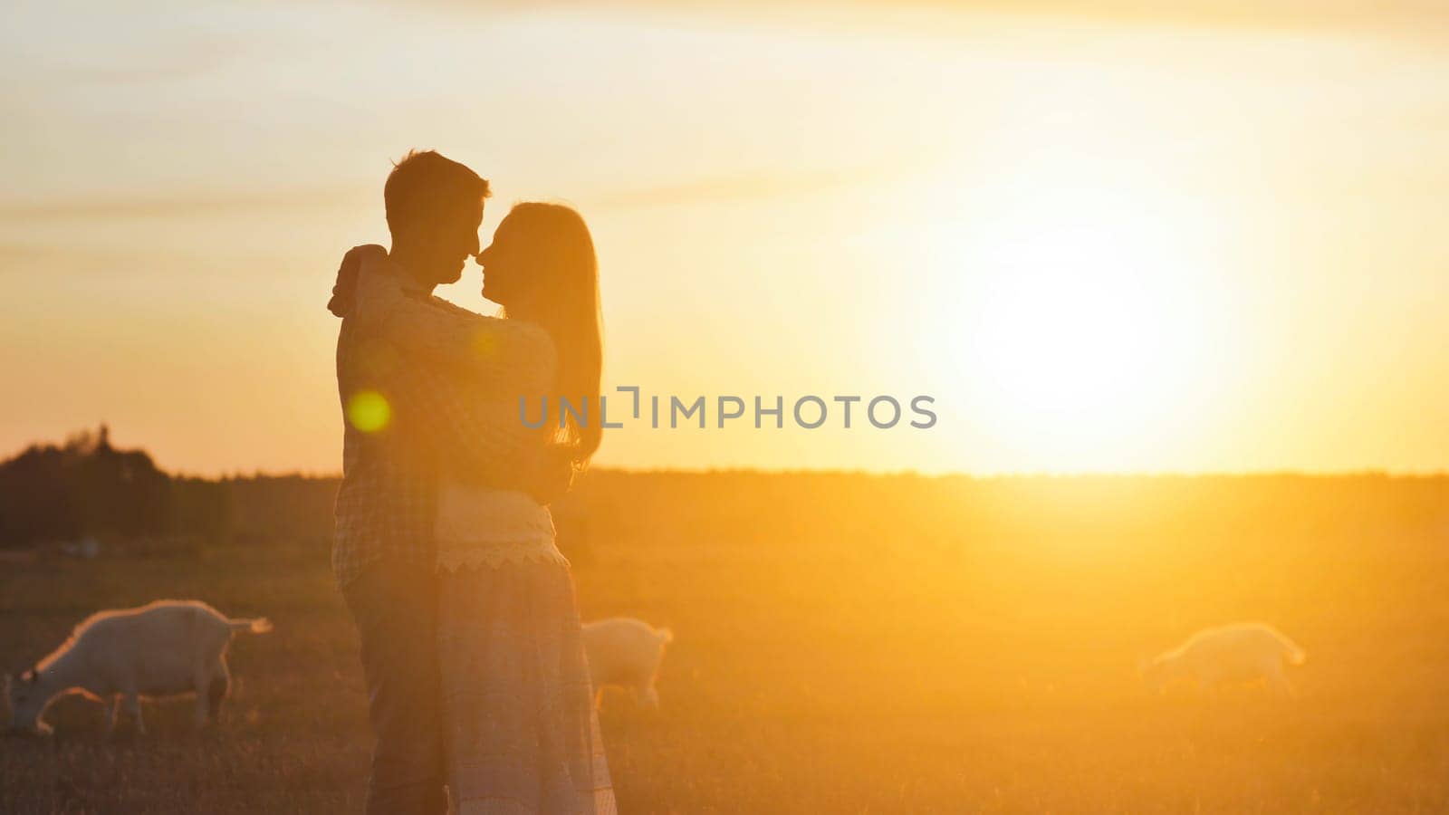A silhouette of a girl approaching her beloved guy and hugs him against the backdrop of sunset and goats