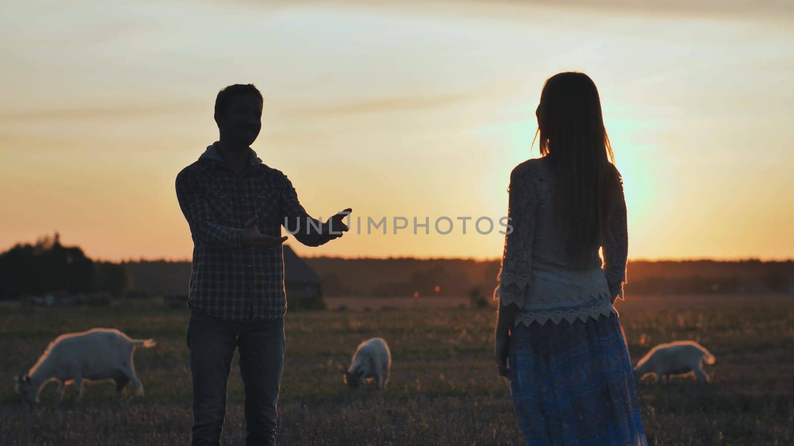 A silhouette of a girl approaching her beloved guy and hugs him against the backdrop of sunset and goats