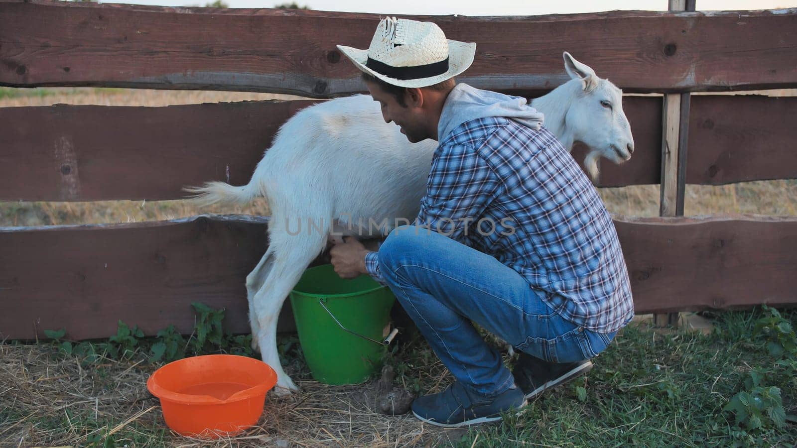 A young man milks his goat in the village