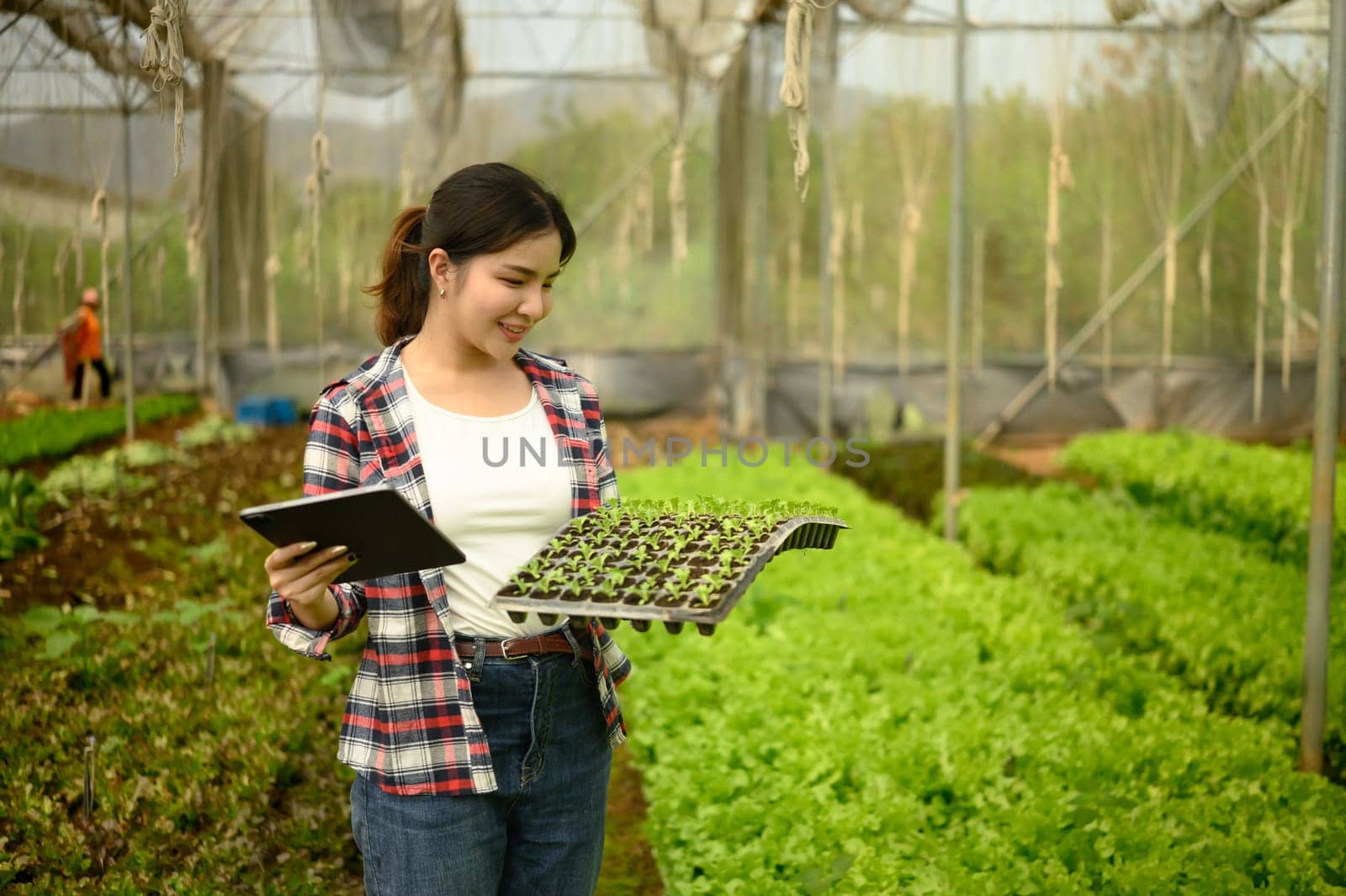 Young female farmer holding digital tablet and checking vegetable seedlings in a greenhouse.