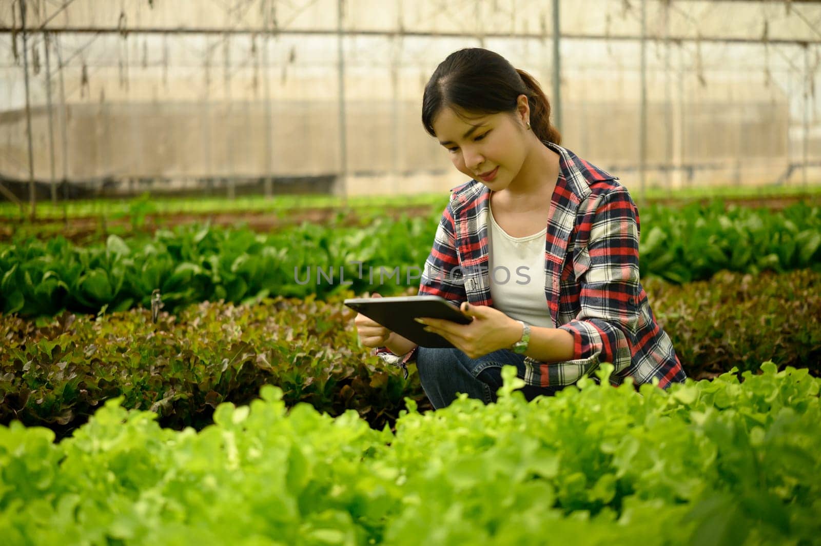 Female farmer using digital tablet in organic farm. Concept of smart farming.