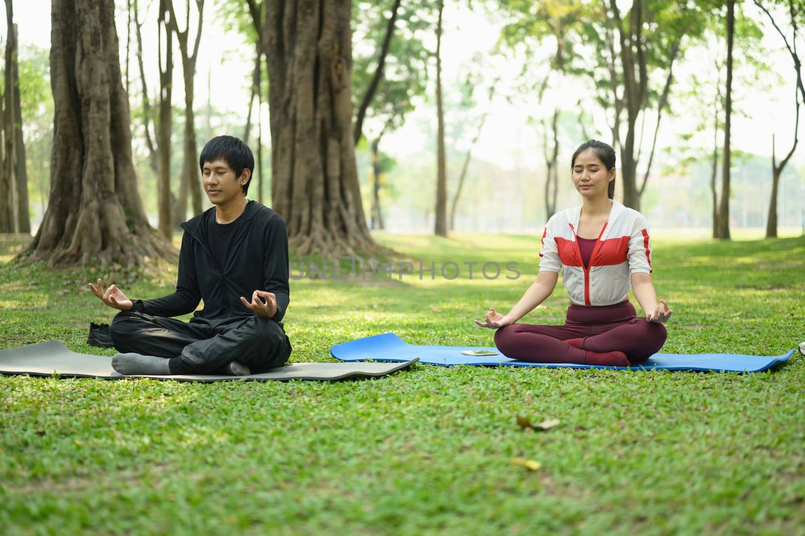 Serene couple practicing yoga together in a park. Wellness and mental health content.