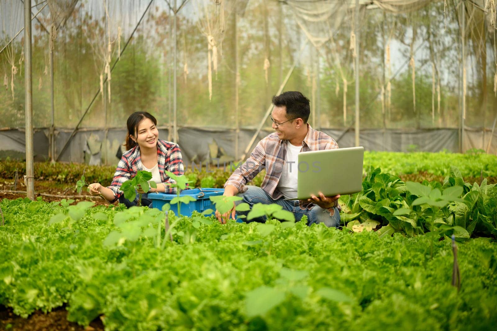 Smiling male and female farmers working together in a greenhouse, using a laptop to monitor crop data.