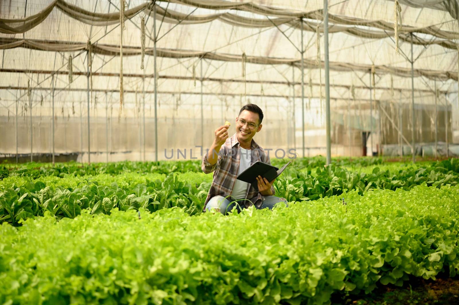 Smiling farmer using digital tablet while inspecting crops in a greenhouse. Concept of modern agriculture.