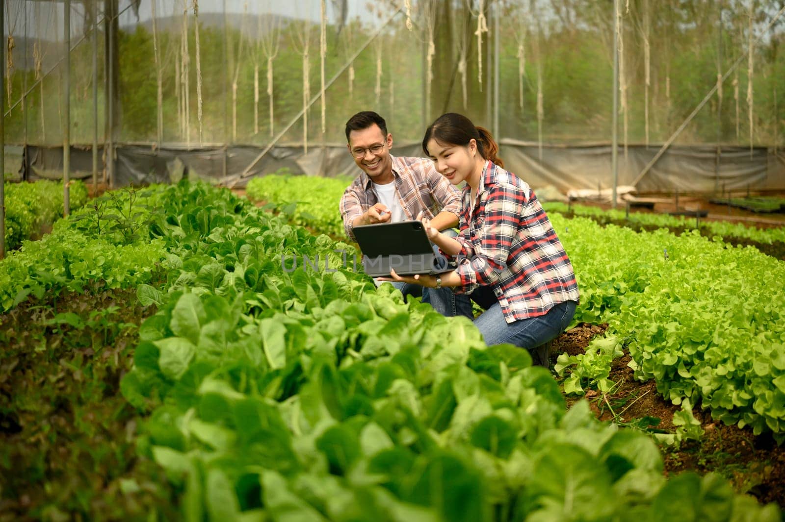 Male and female farmers using digital tablet for crop monitoring and digital farming records.