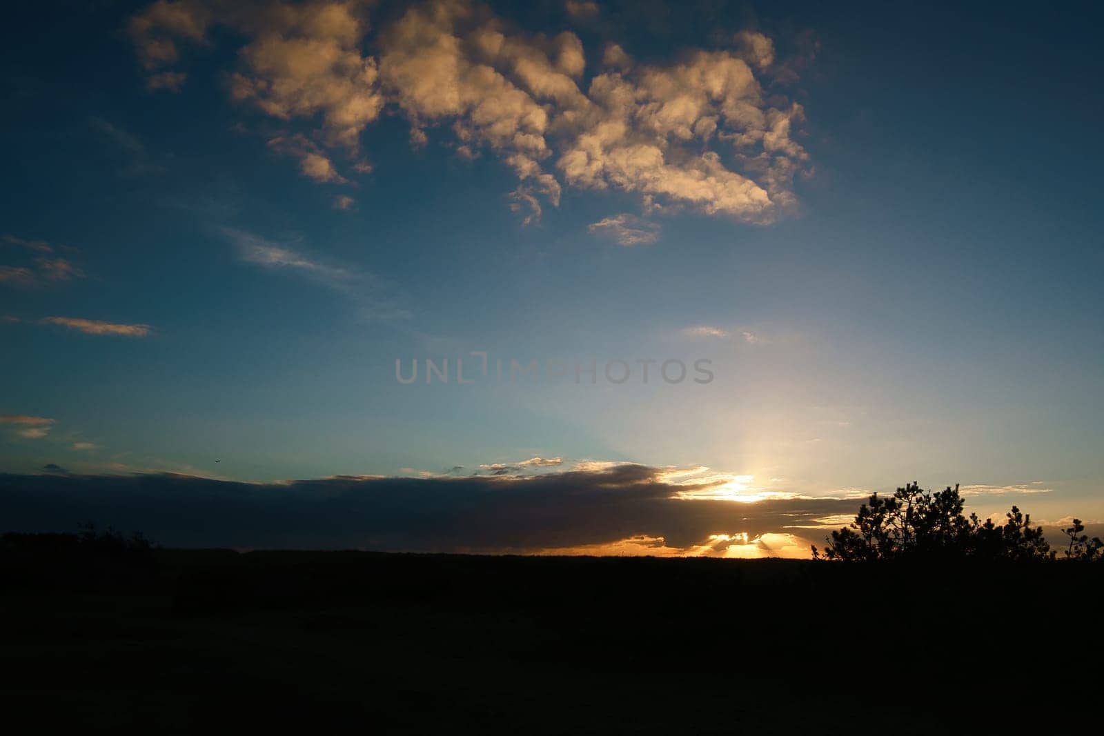 Dramatic sunset with clouds streaking the sky, warm colors and shady trees in the foreground create a calming, picturesque scene.