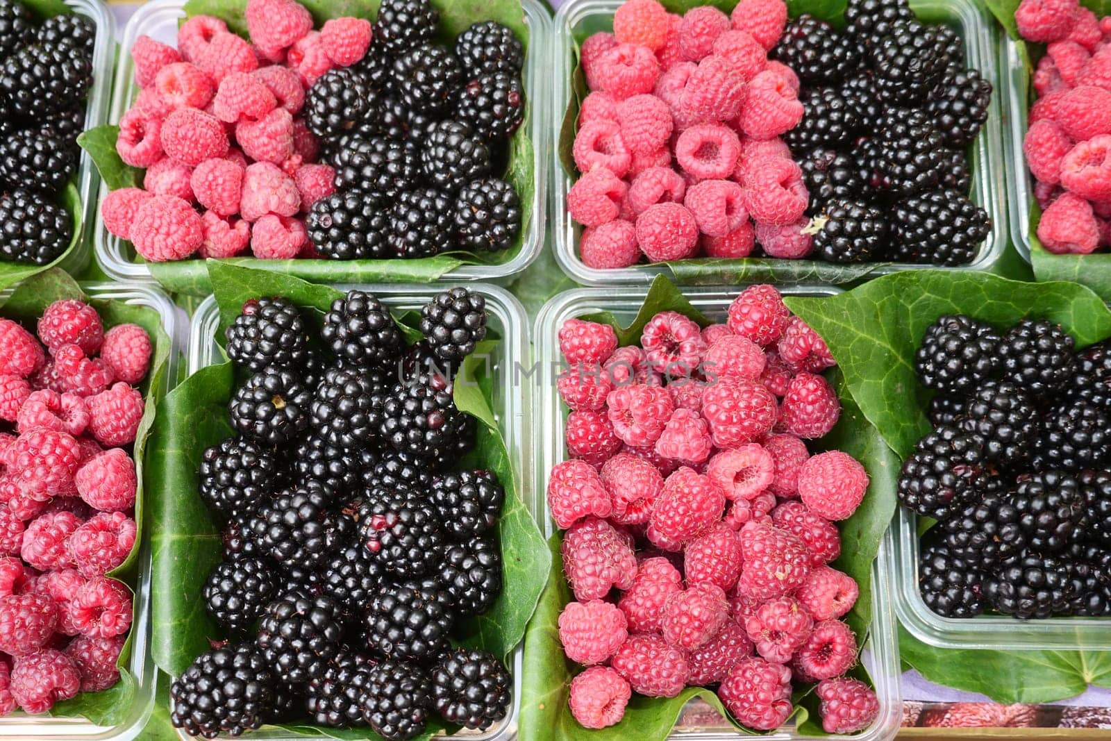 Colorful berries arranged in containers with green leaves at market.