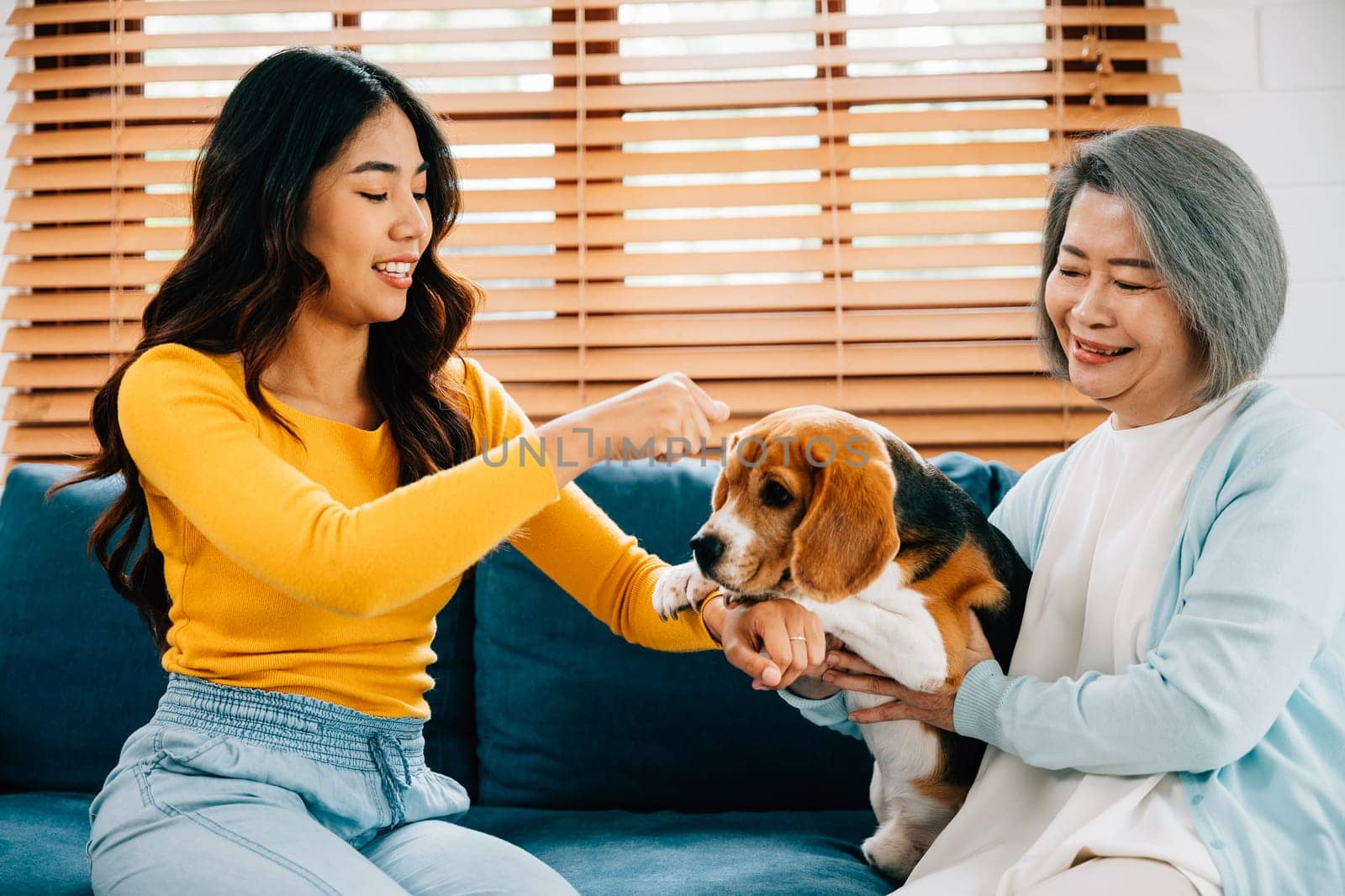 On the sofa, a woman and her mother share a special family moment with their Beagle dog. Their affection and loyalty are evident in their smiles, emphasizing the strength of their family.