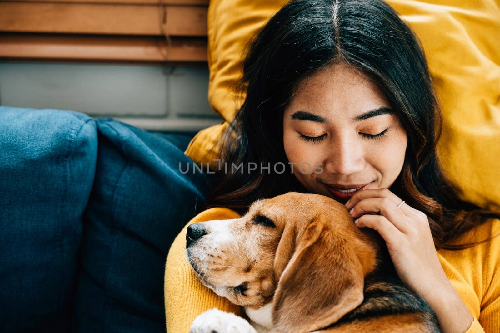 A portrait of happiness, a woman and her Beagle dog sleep peacefully on the sofa in the living room, embodying the concept of best friends forever and the joy of togetherness. Pet love