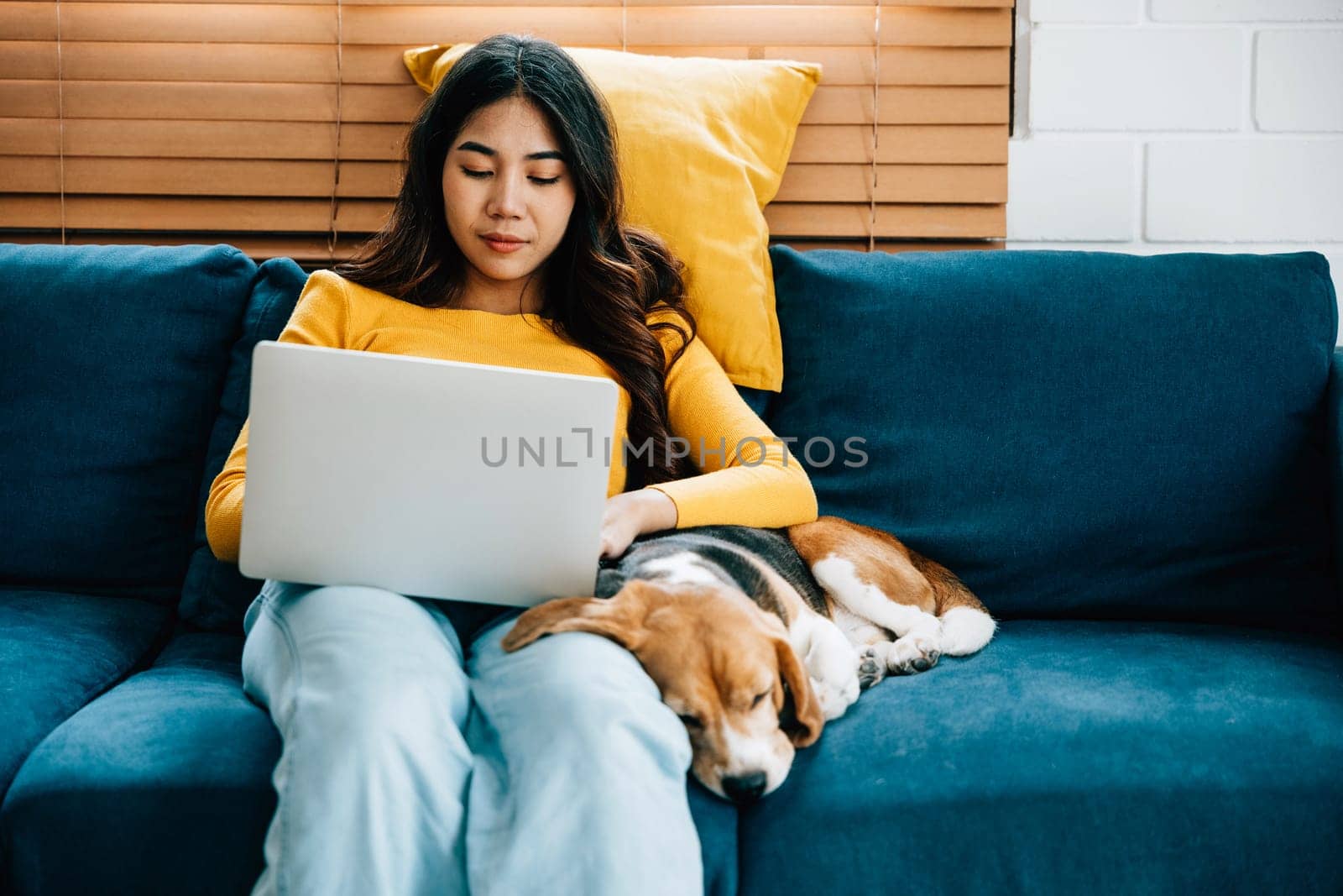In their cozy living room, a woman focuses on her laptop while her Beagle dog enjoys a peaceful nap on the sofa. Their friendly connection and shared workspace create a warm atmosphere. Friendly Dog.