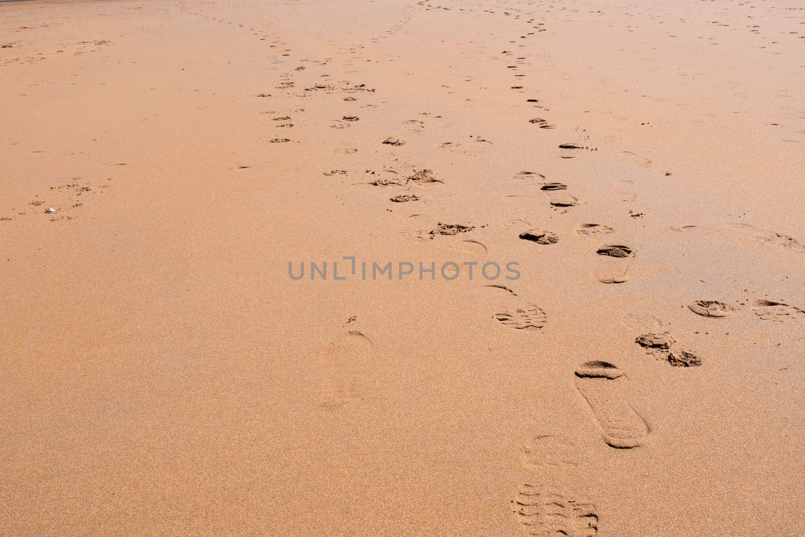 Footprints on sandy beach with gentle waves in natural light.