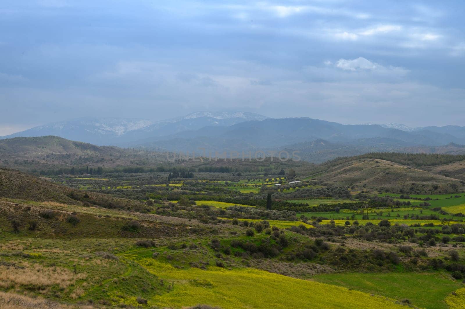 Lush green fields stretch across rolling hills, dotted with trees, as distant mountains emerge under a gentle gray sky at dawn. This tranquil landscape showcases nature’s quiet beauty.