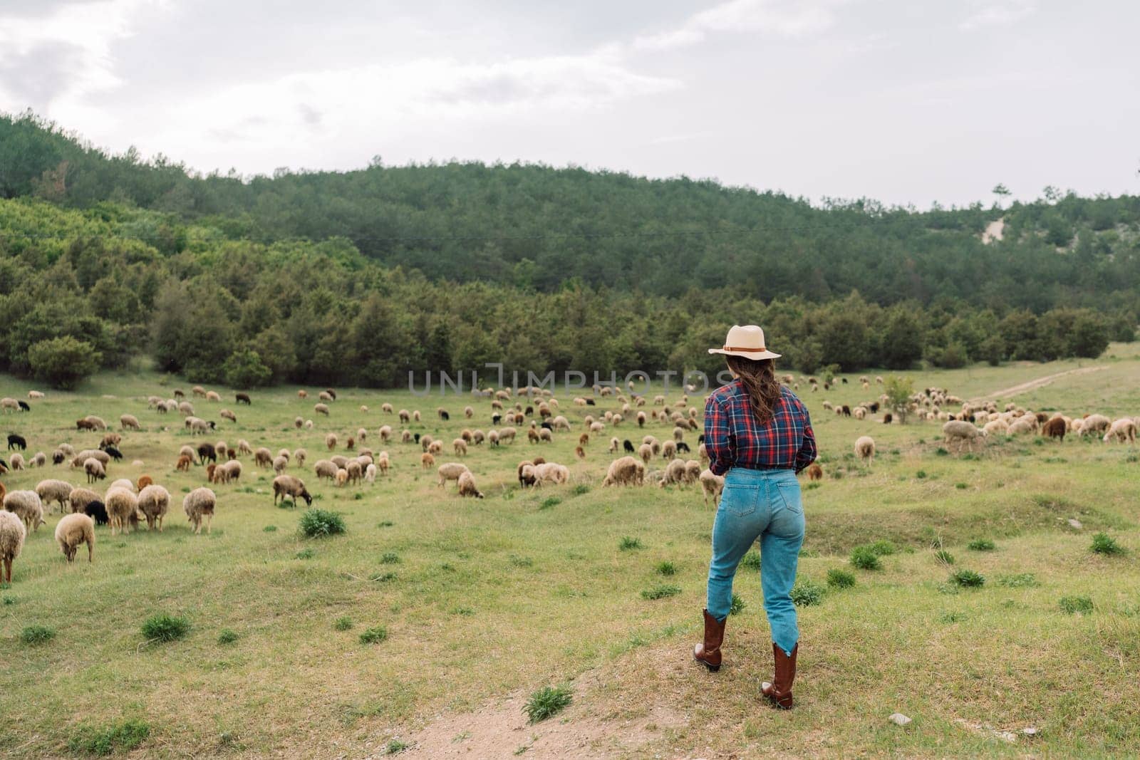 A woman wearing a hat stands in a field of sheep. The sheep are scattered throughout the field, with some closer to the woman and others further away. Concept of peacefulness and tranquility