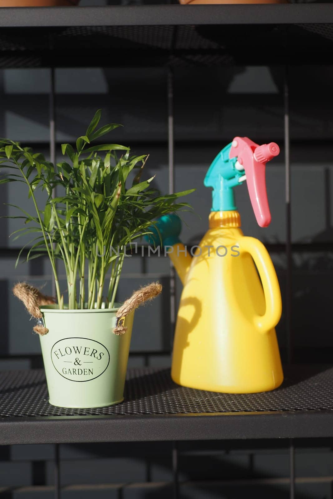 A vibrant plant in a decorative pot alongside a bright spray bottle.
