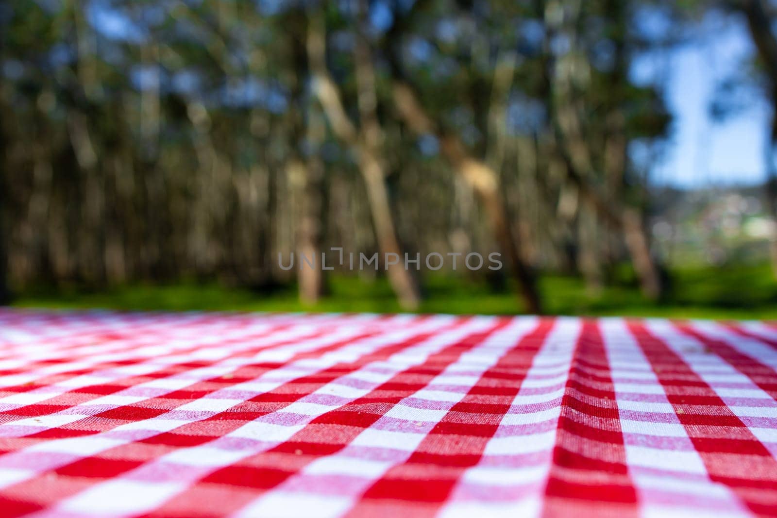 Red checkered picnic tablecloth in forest setting under bright sunlight.