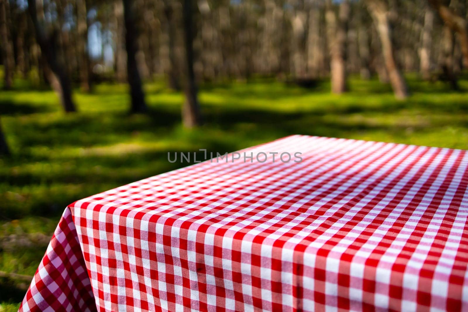 Red checkered picnic tablecloth in sunlit forest clearing.