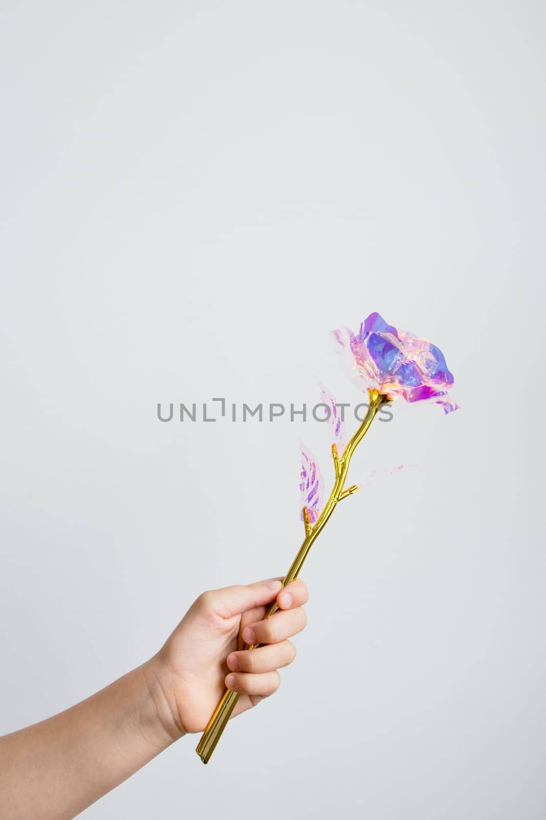 Childs hand holding magical glowing purple rose with golden stem.