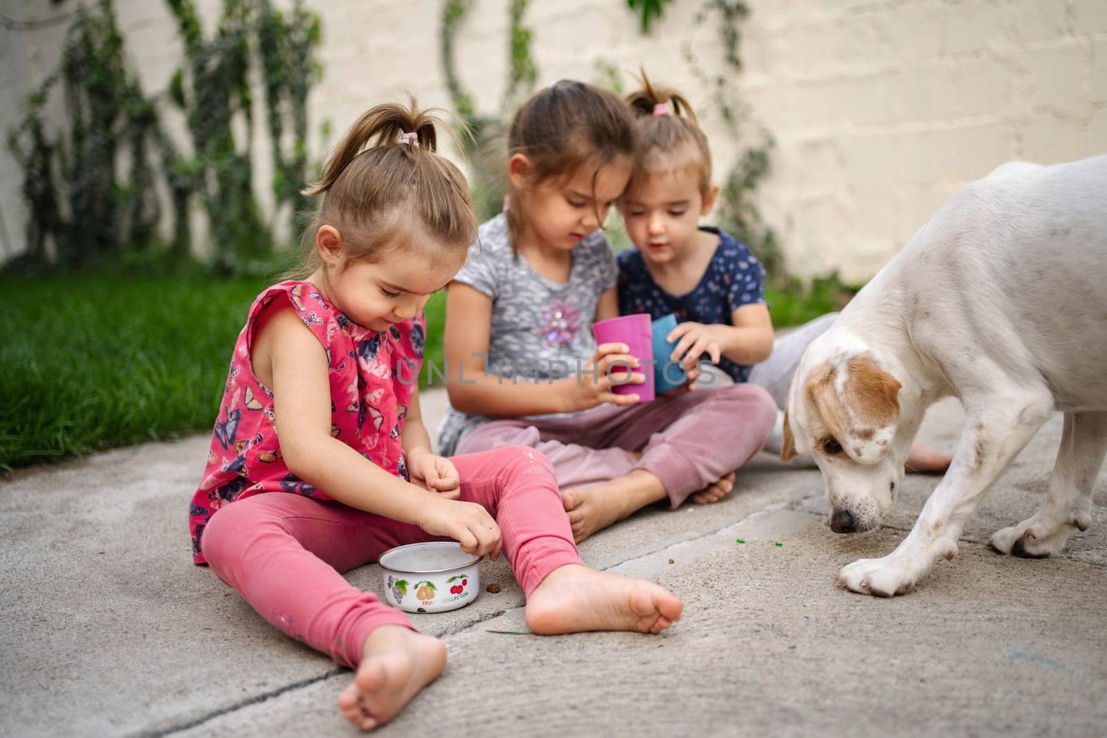 Three children happily engage in outdoor activities with their playful dog.