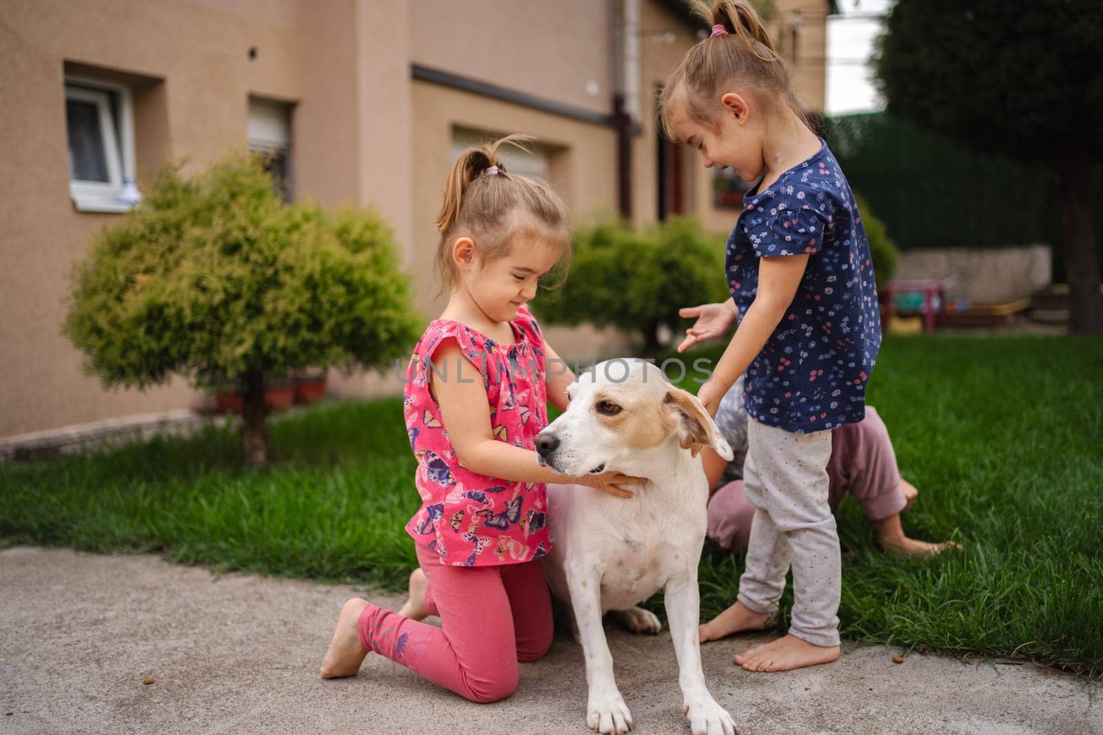 Two young girls pet a playful dog while enjoying a sunny day outside.