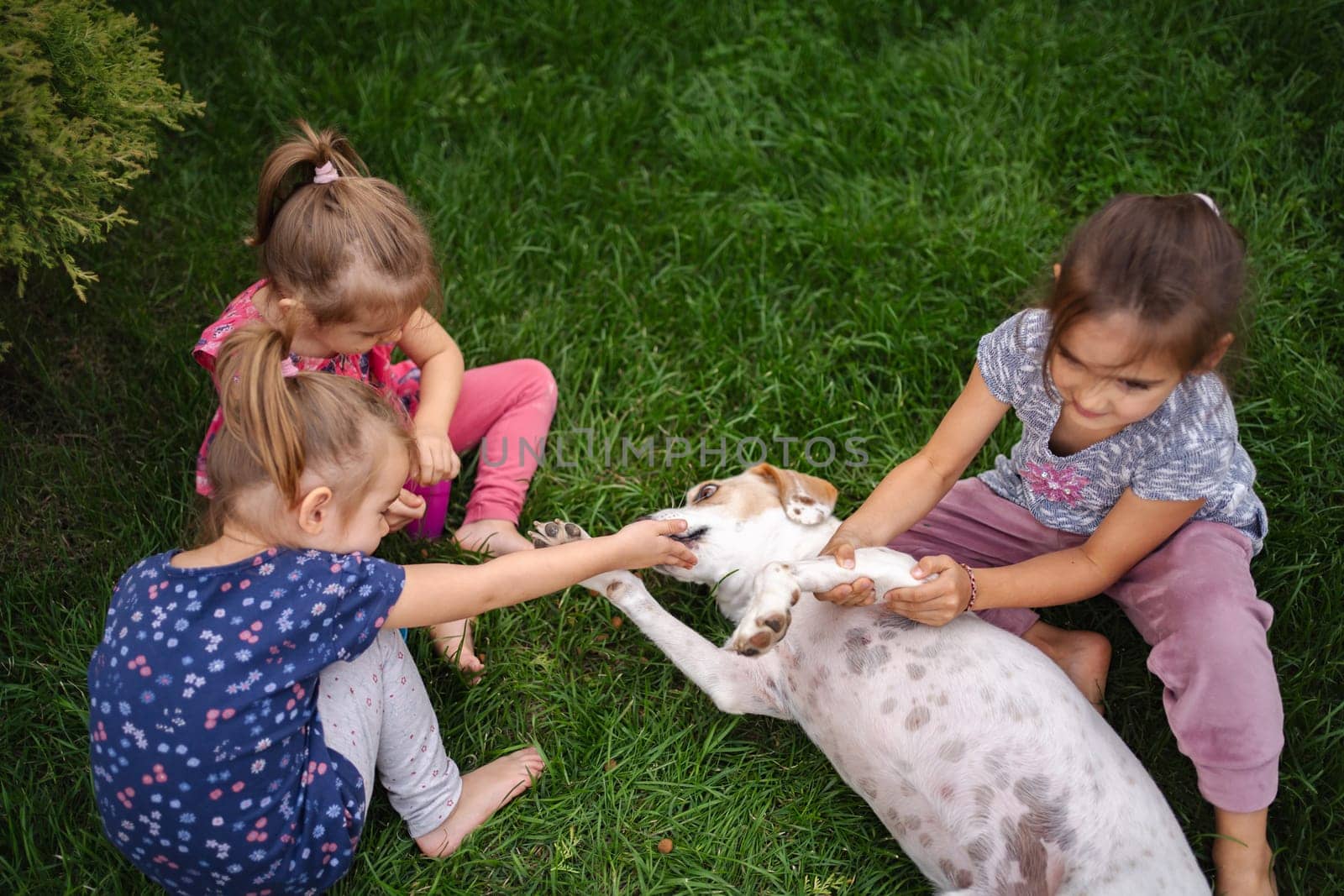 Three children interact playfully with a friendly dog on soft grass.
