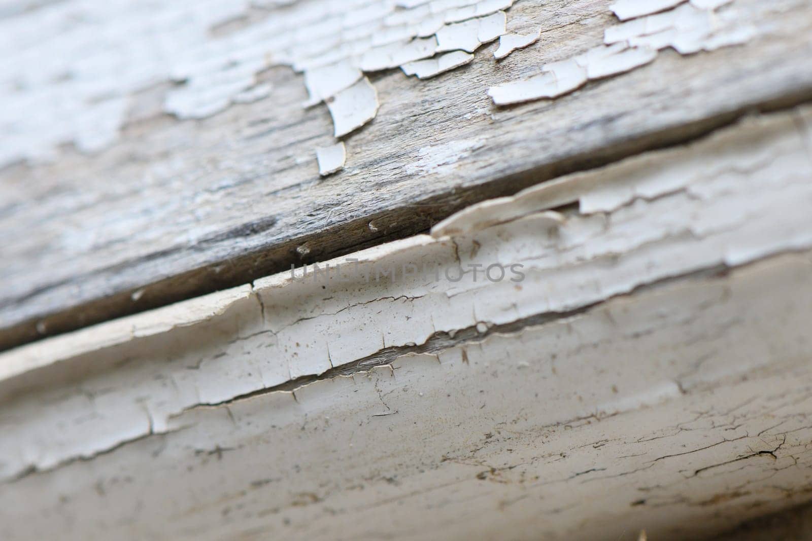 Close-up view of weathered wood showcasing peeling paint and cracks, telling tales of time and nature's relentless wear. The textures evoke a sense of history.