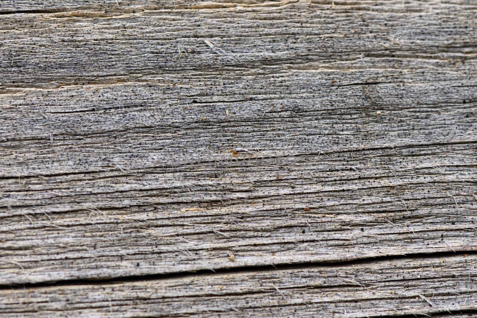 Close-up view of an old, weathered wooden surface showcasing deep grooves and natural textures. The soft light enhances the rustic charm, inviting contemplation of its history.