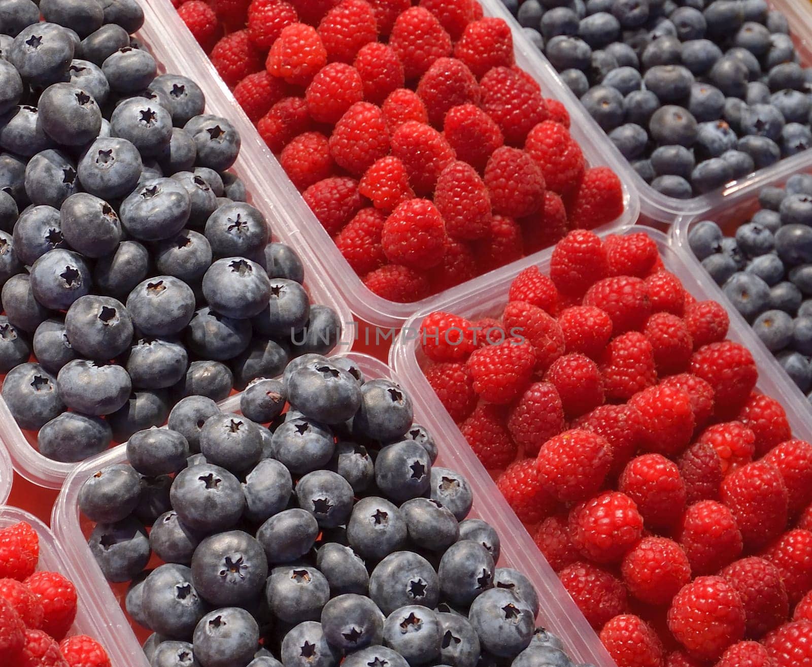 Blueberry and raspberry background in a plastic trays