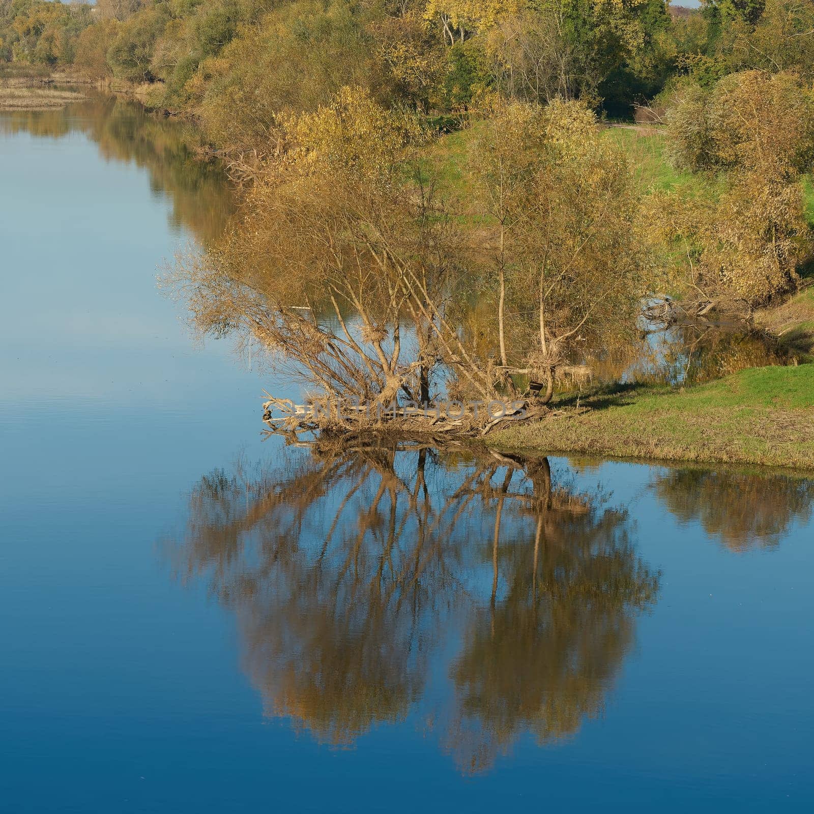 Reflection of willows in the water of the river Elbe on the Elbe cycle path, Elberadweg near Magdeburg