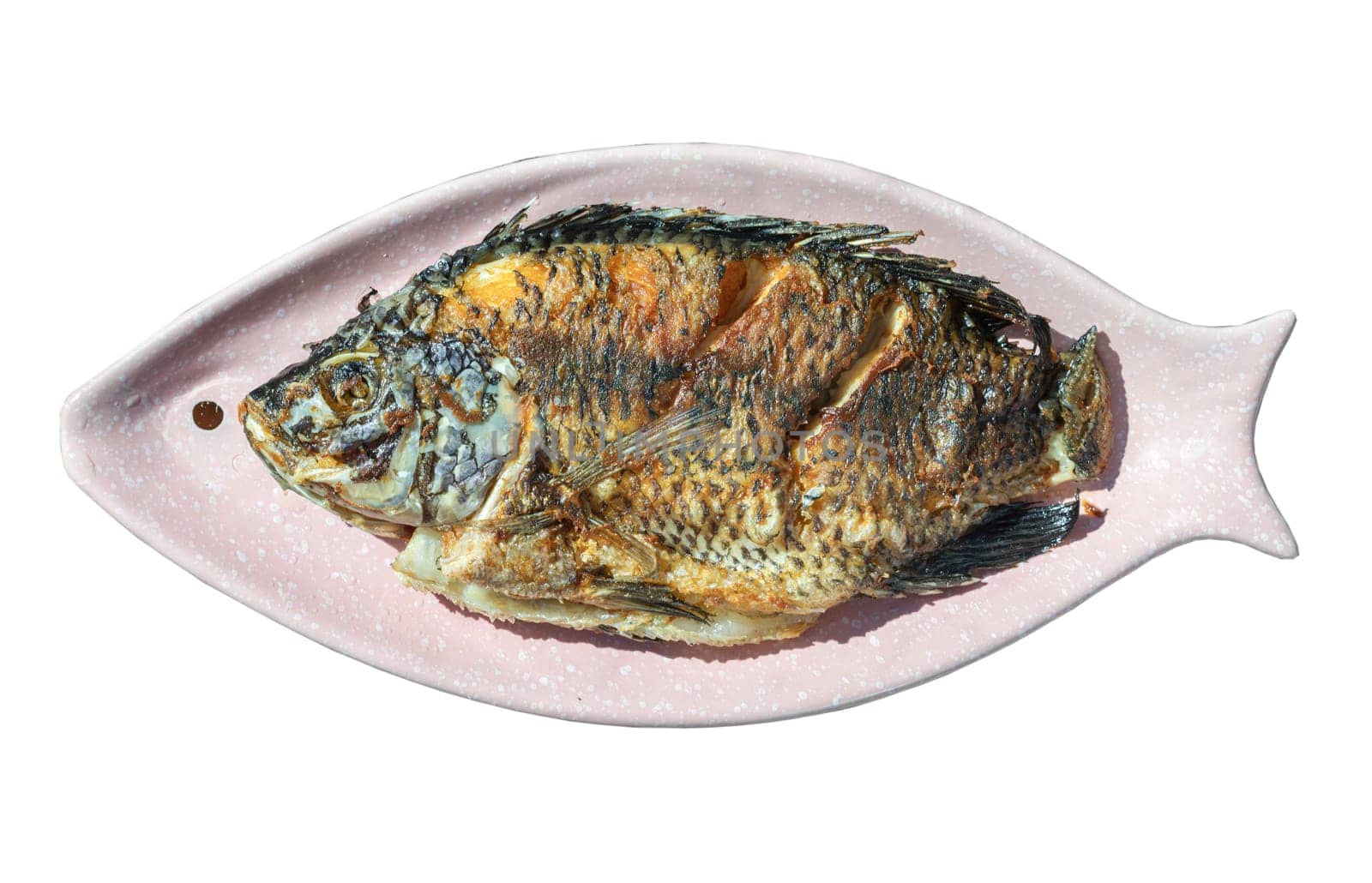 Top view of Delicious deep fried Whole tilapia fish on Ceramic fish plate isolated on white background with clipping path. Selected focus.