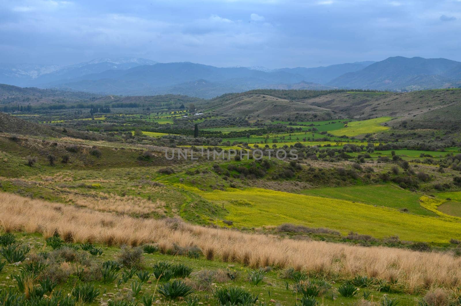Rolling hills covered in lush green grasses and vibrant yellow fields stretch across the countryside under a cloudy spring sky. Nature's beauty is on full display, inviting serenity and peace.