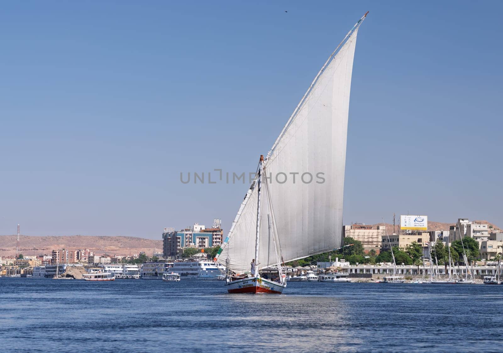 Aswan, Egypt - 4 November 2024: Felucca sailing upstream with a full sail for a cruise on the Nile
