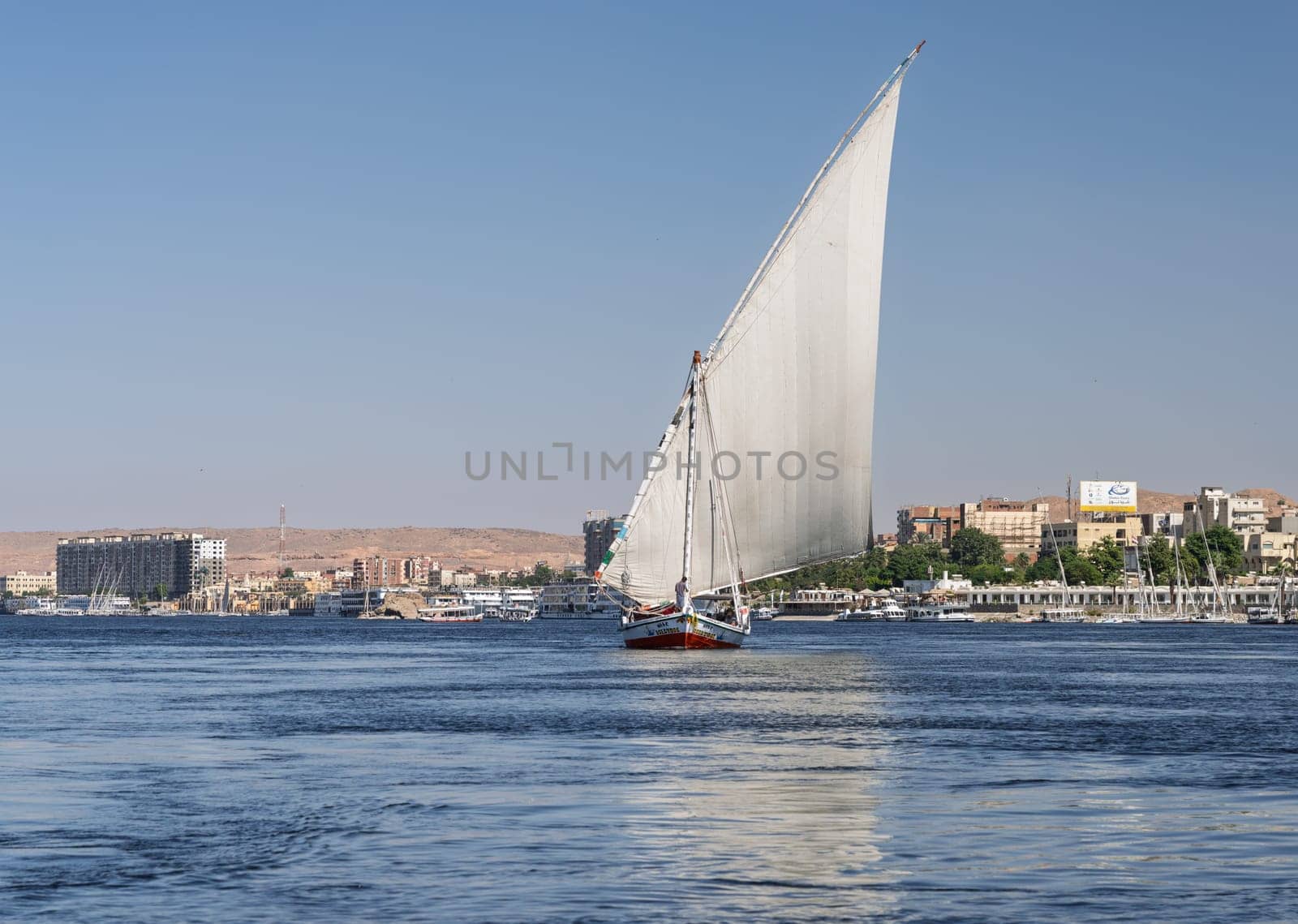 Aswan, Egypt - 4 November 2024: Felucca sailing upstream with a full sail for a cruise on the Nile