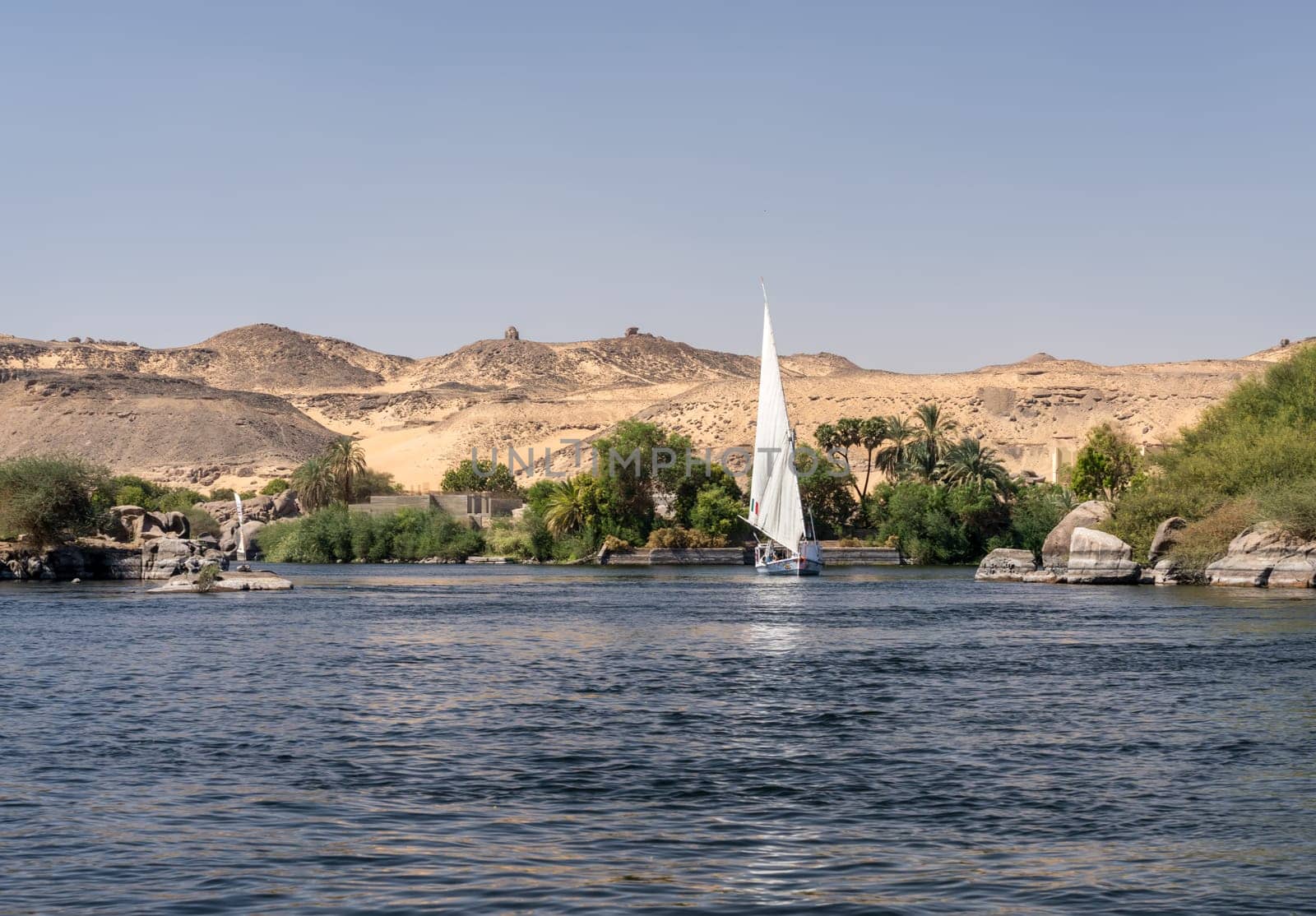 Felucca sailing downstream with a full sail for a cruise on the Nile with desert behind