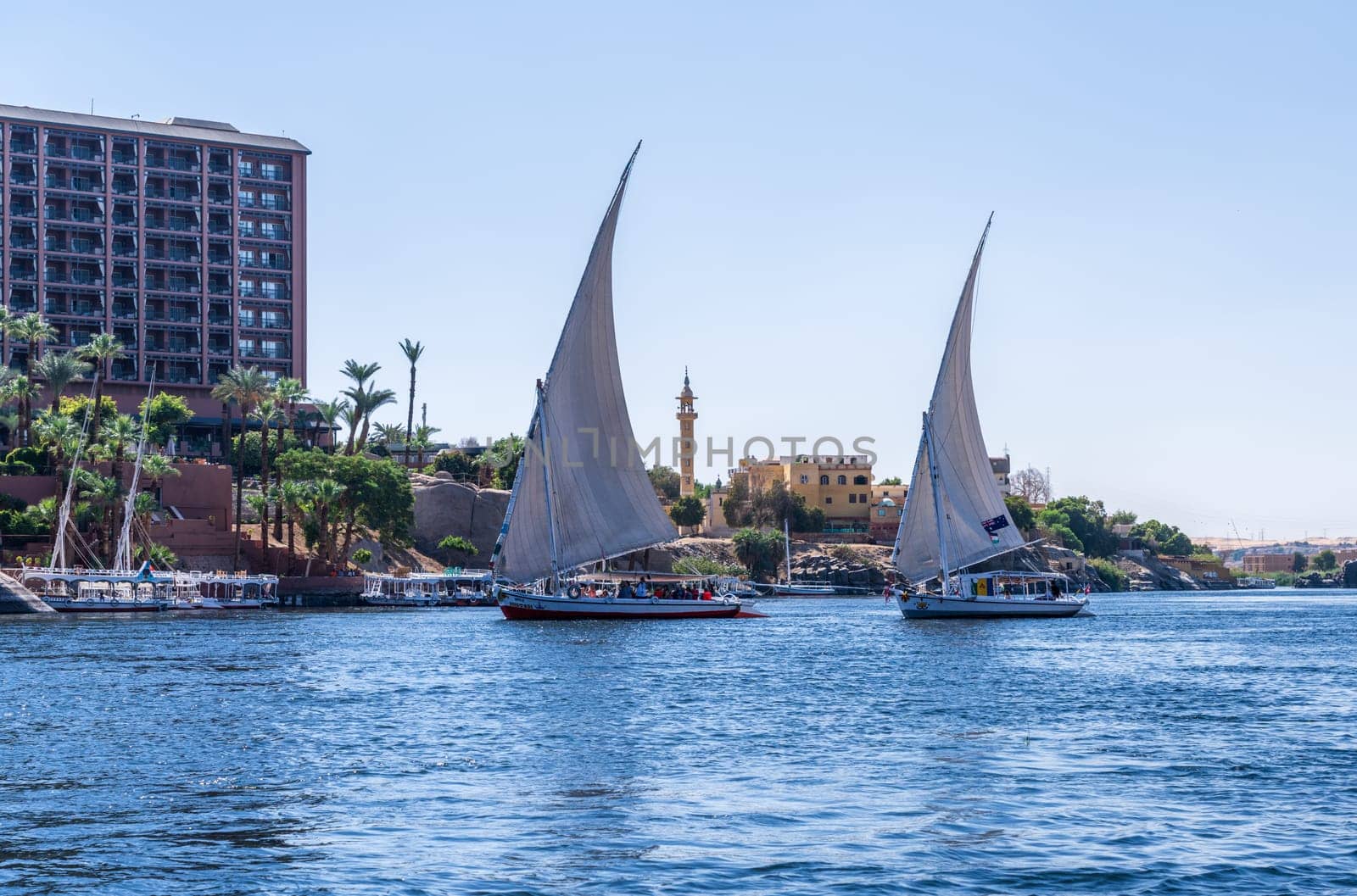 Aswan, Egypt - 4 November 2024: Two felucca boats sailing downstream and tacking against wind by the New Cataract hotel
