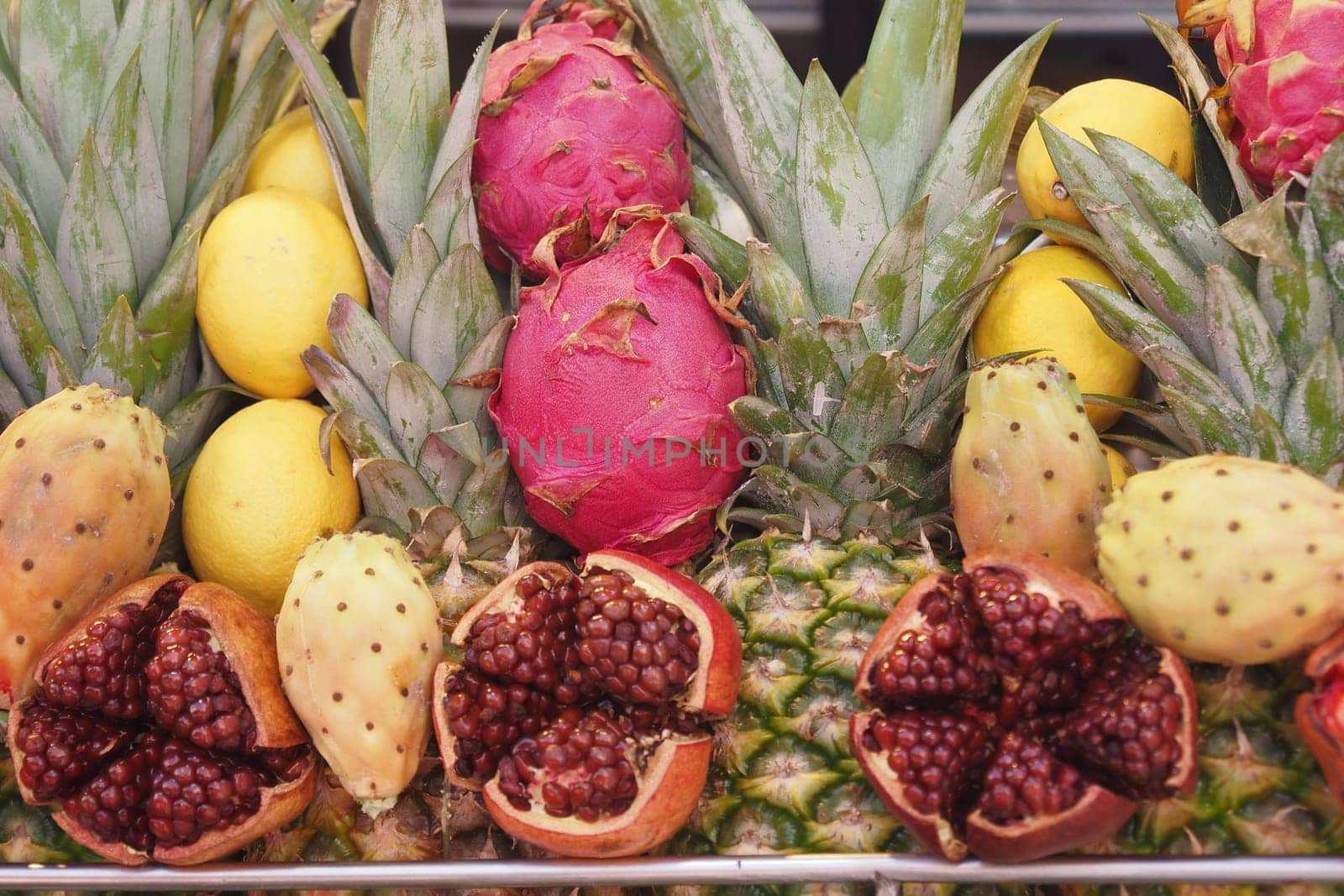 Vibrant assortment of tropical fruits including pineapples and dragon fruits.