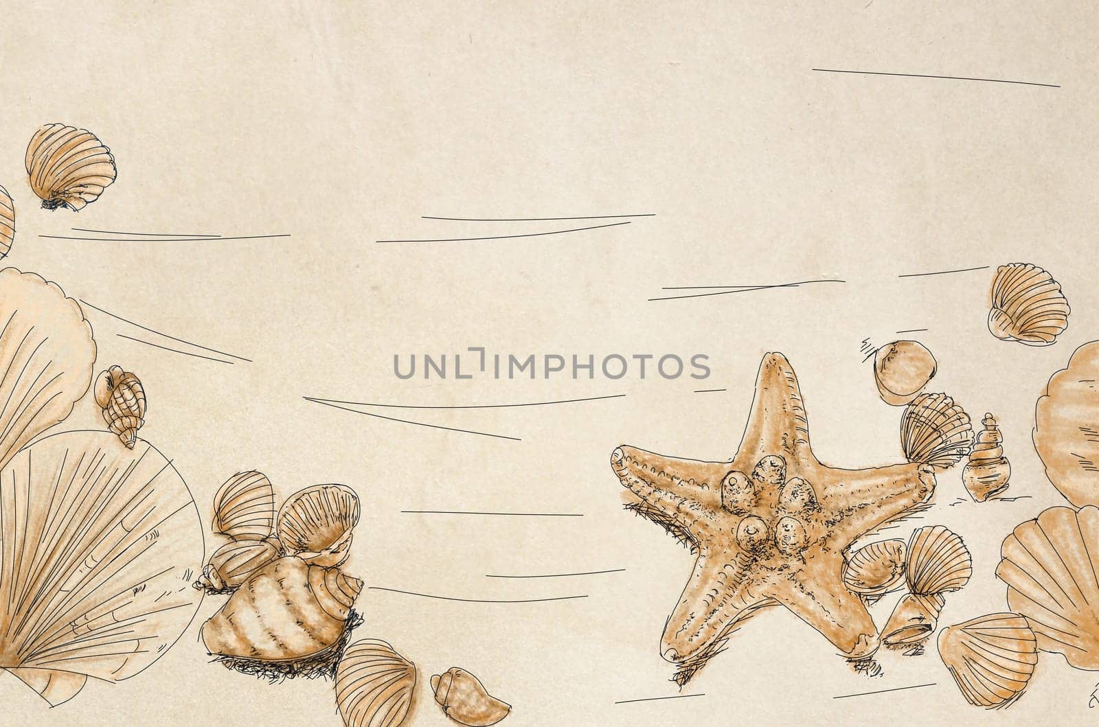 hand drawn illustrations portraits, animal objects and landscapes