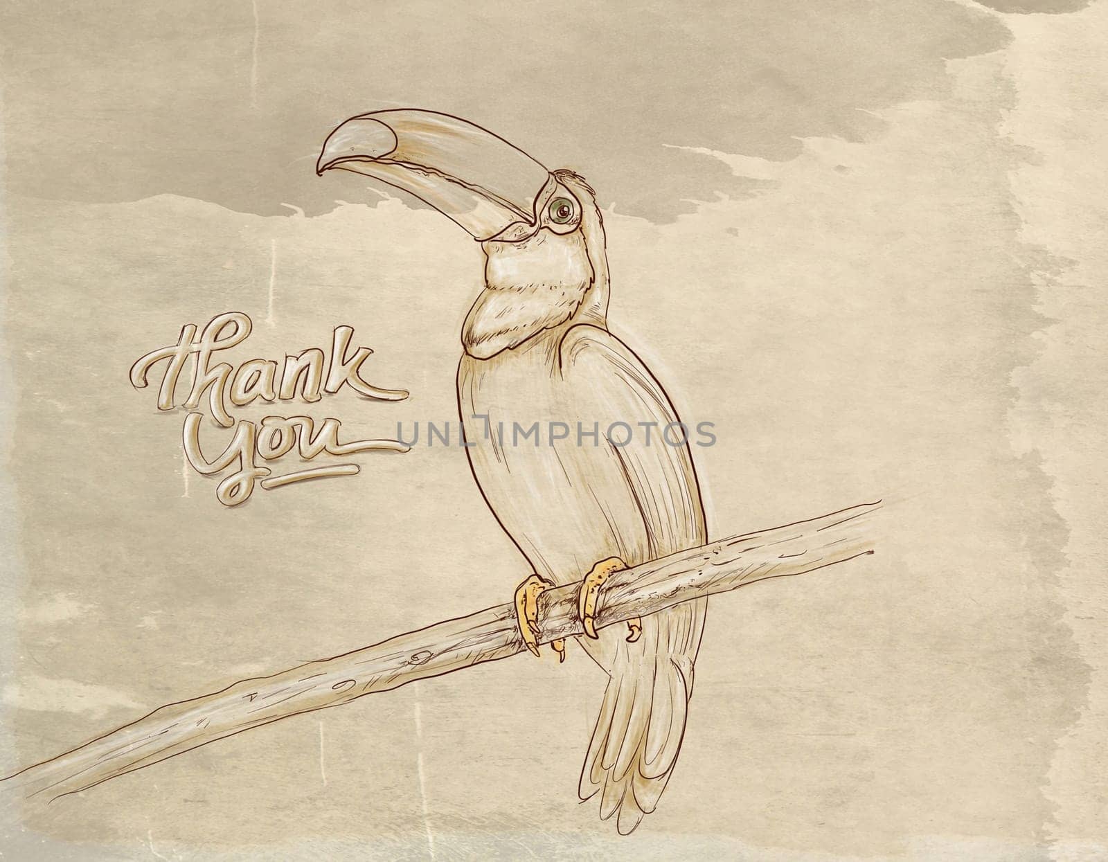 hand drawn illustrations portraits, animal objects and landscapes