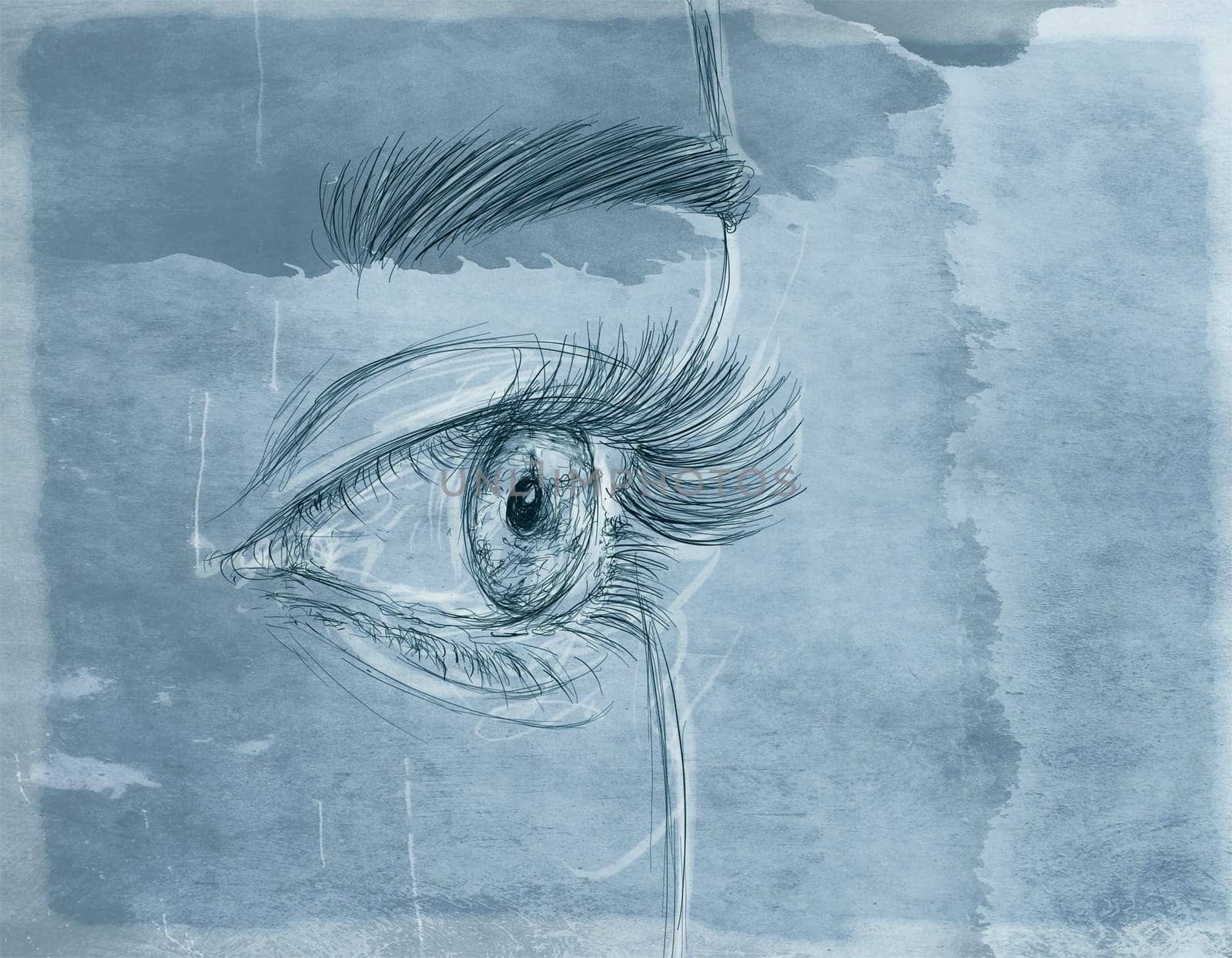 hand drawn illustrations portraits, animal objects and landscapes