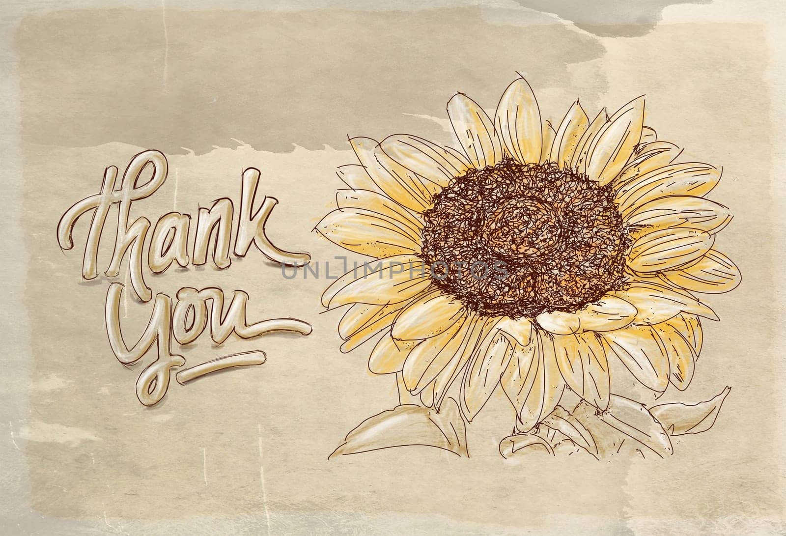 hand drawn illustrations portraits, animal objects and landscapes