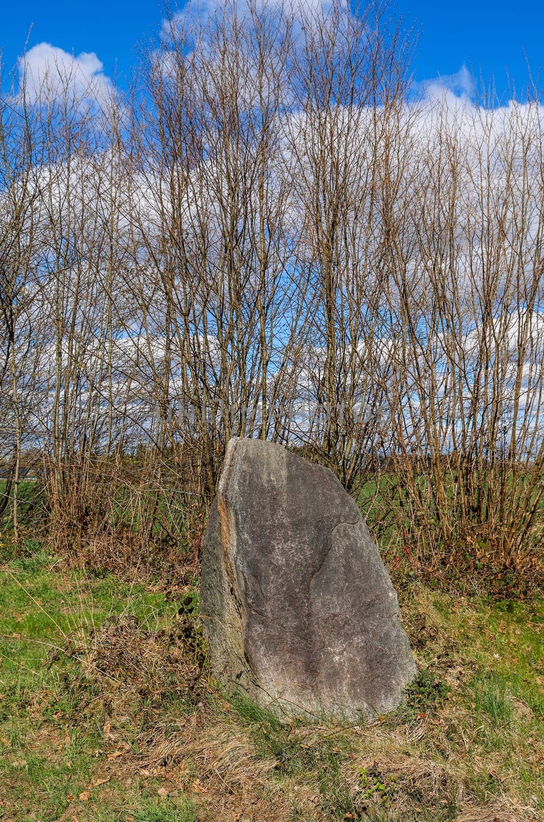 Big standing stone in a field with bare trees and green grass under a blue sky with white clouds
