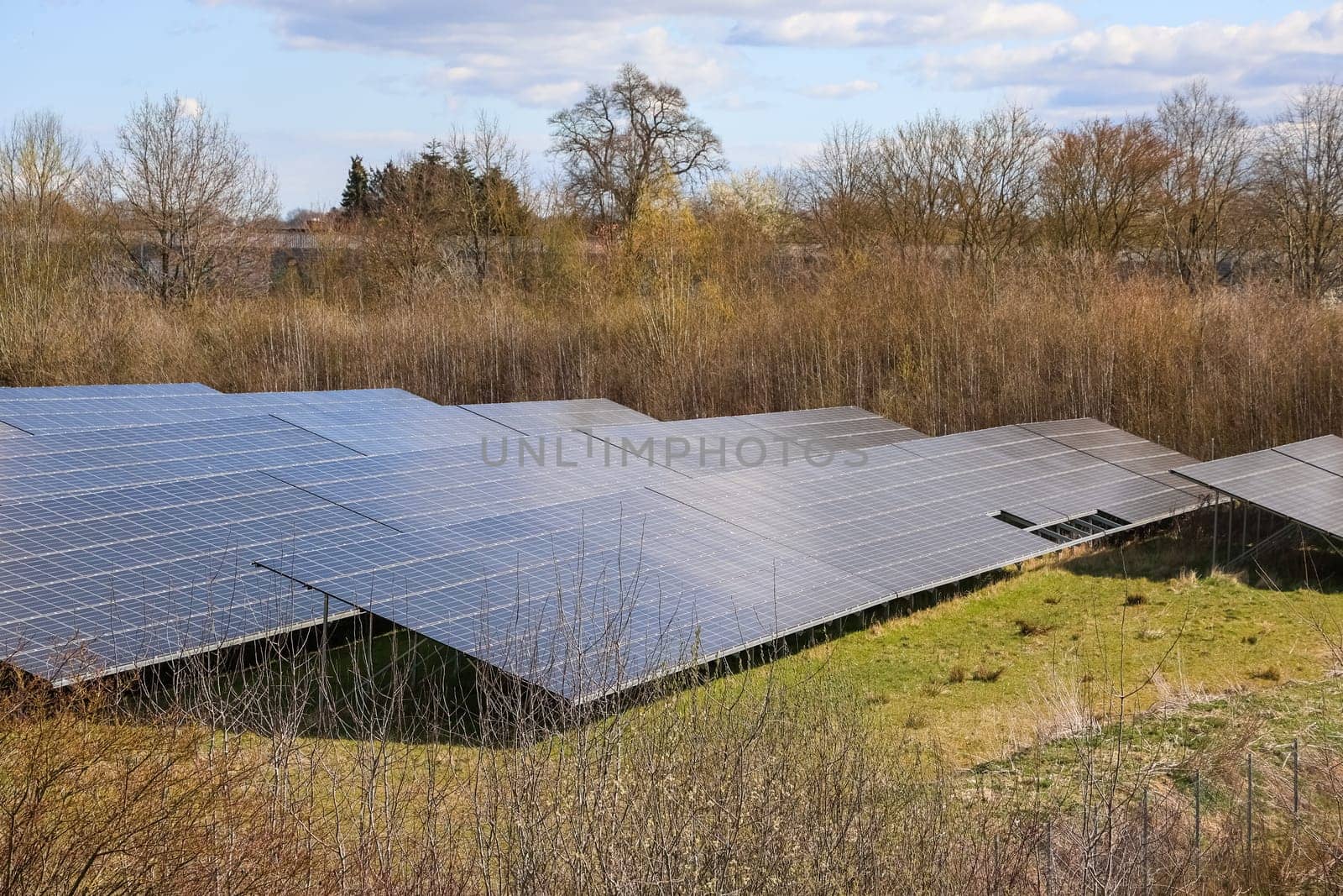 Rows of solar panels capturing sunlight in a field, generating clean electricity and promoting renewable energy practices