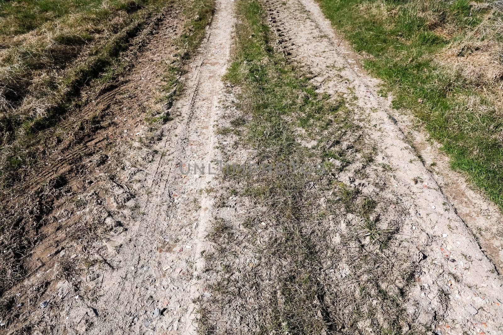 Tire tracks creating a path on a dirt road crossing a field, transportation and off-road concept