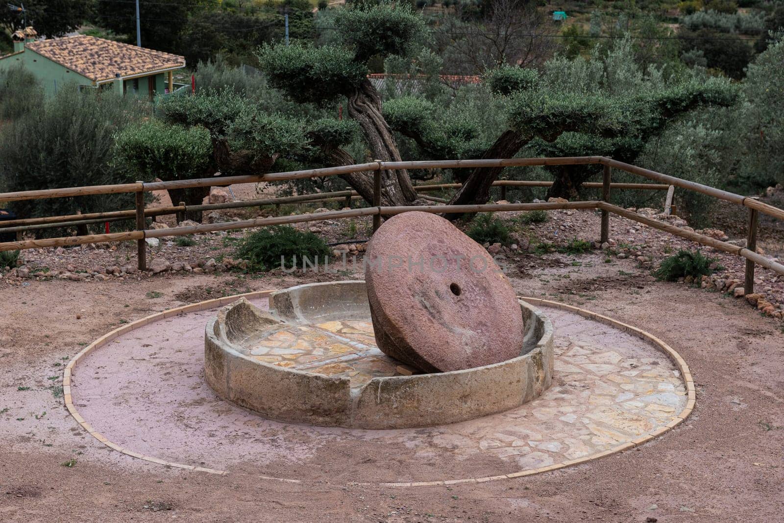 Immerse yourself in the rich heritage of grain milling with a traditional stone mill powered by a vertical water wheel, set amidst ancient olive trees, capturing the essence of rural craftsmanship and agricultural tradition.
