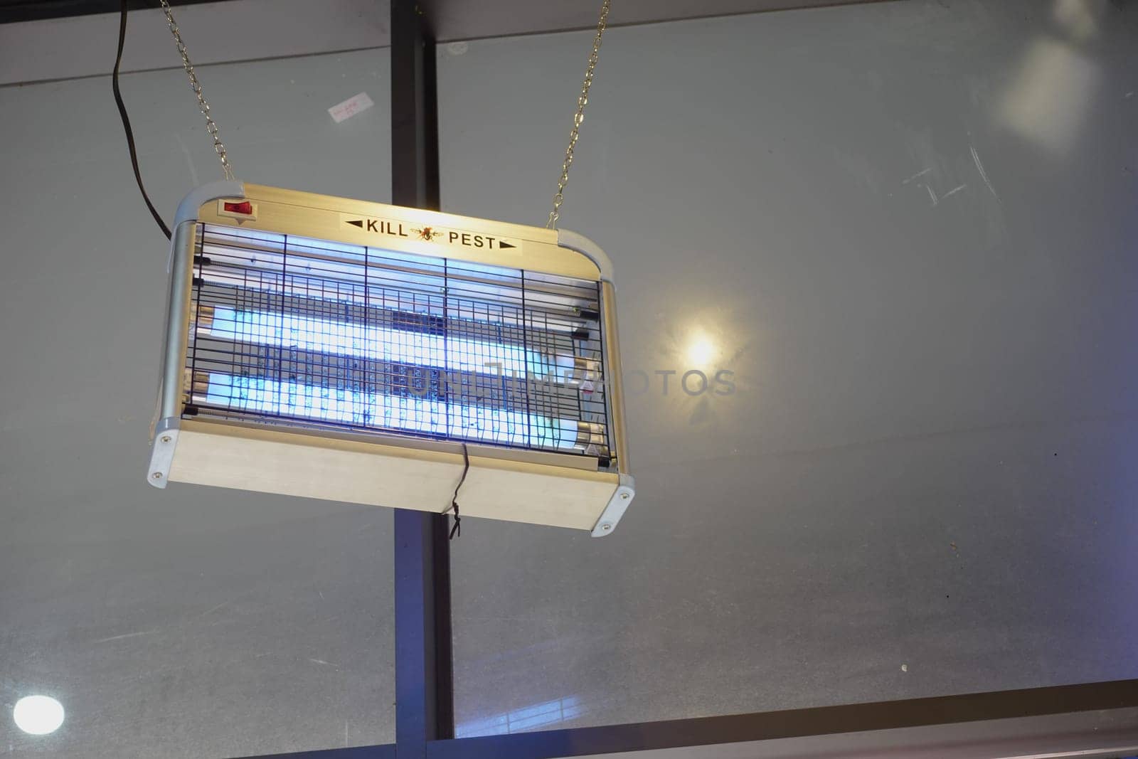 A device hangs from the ceiling, using UV light to attract pests.