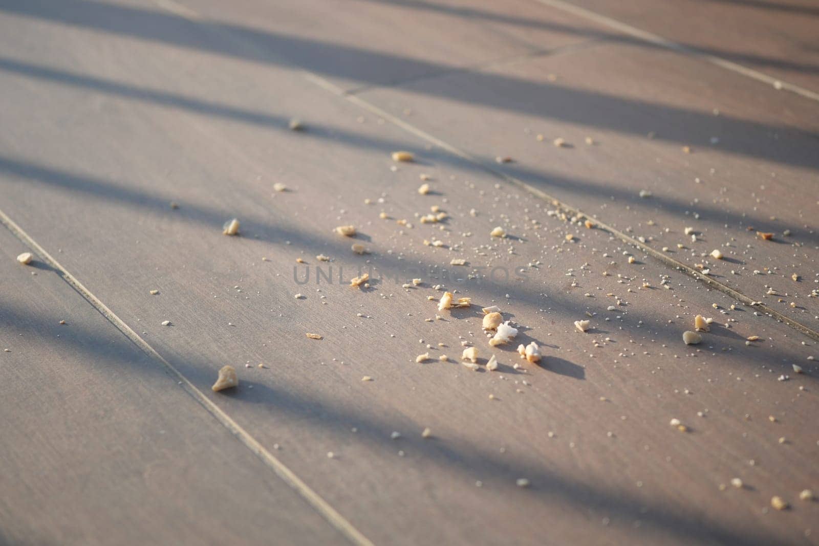 Morning sunlight illuminates crumbs scattered across a wooden floor.