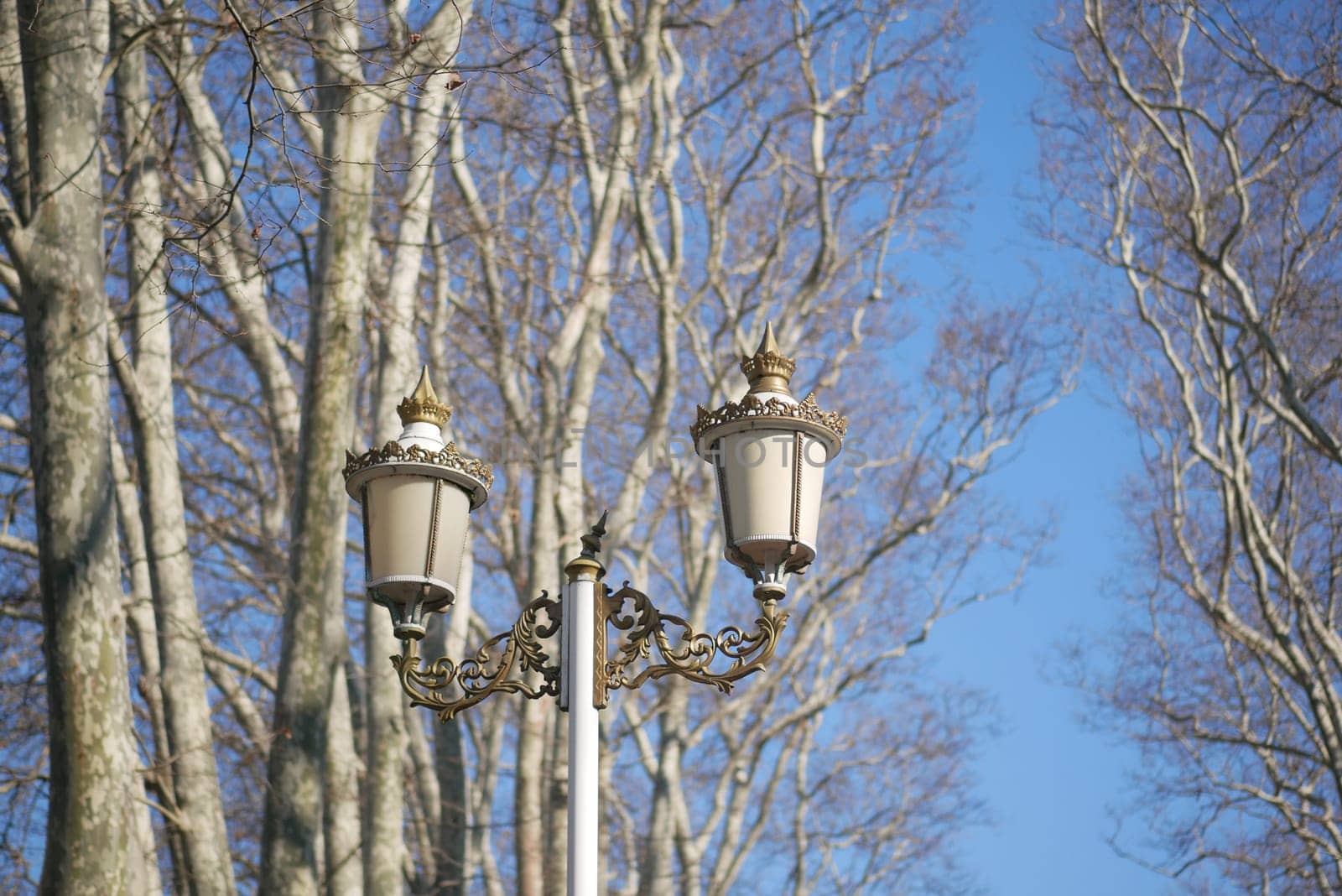 A vintage lamp post stands amidst bare branches on a sunny day.