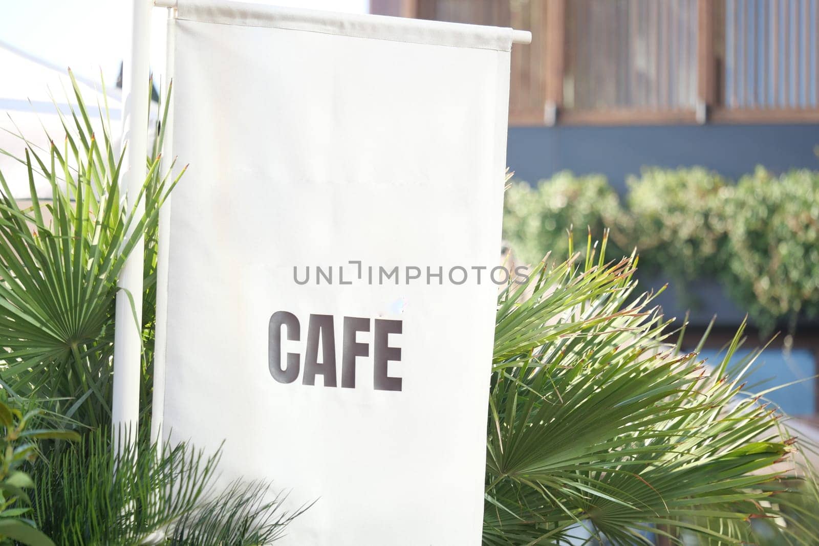 A sign displaying the word cafe is surrounded by lush green plants.
