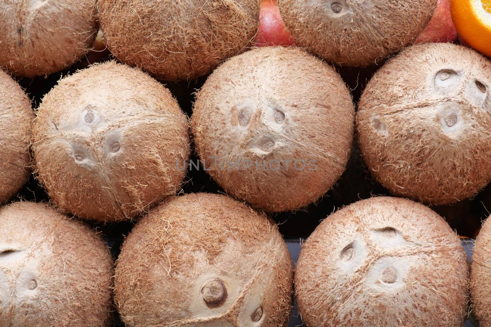 Close-Up of Fresh Coconuts with Brown Textured Shells in a Market Display