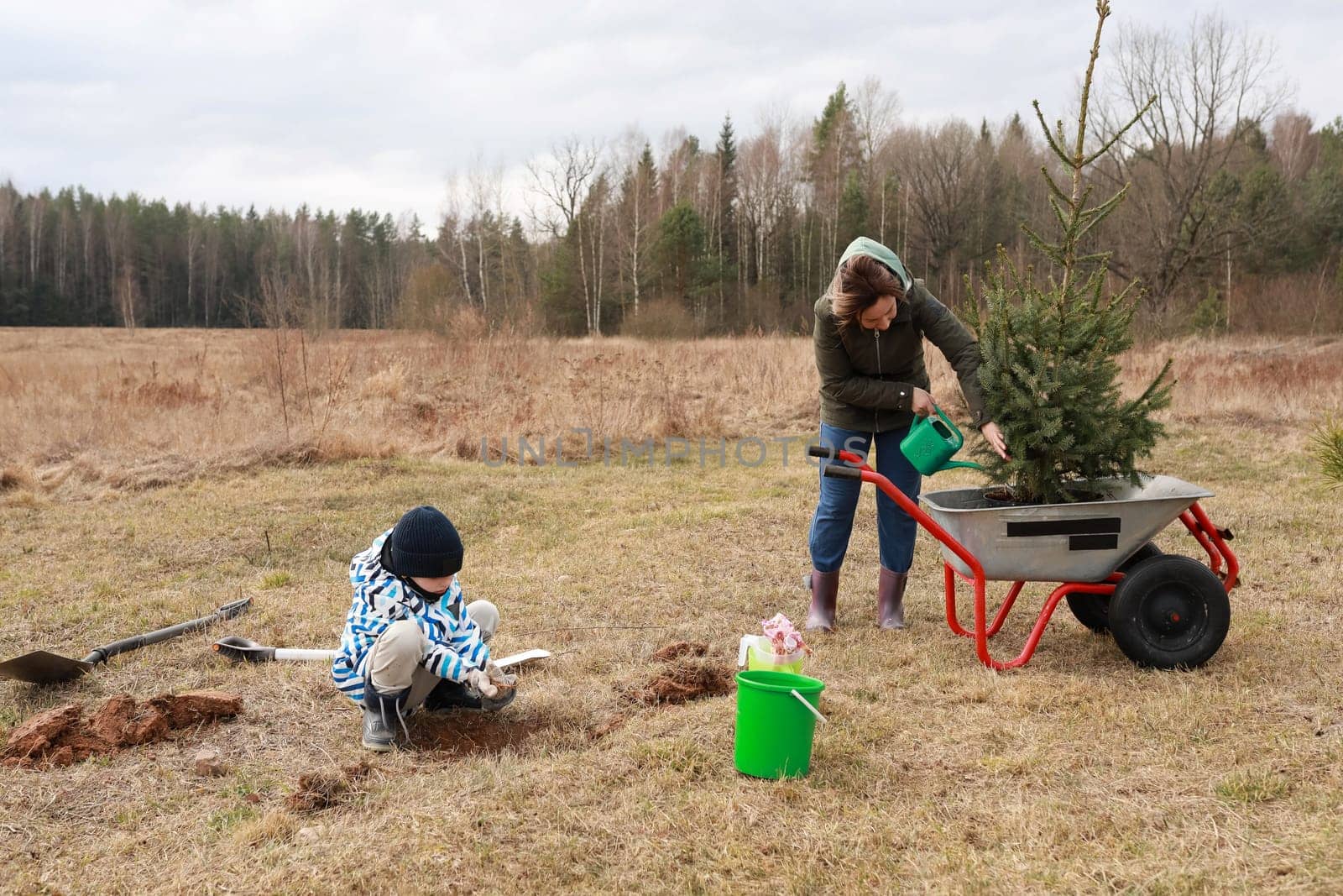 Two individuals engage in planting a tree in a grassy area. One child digs the ground while an adult waters the tree nearby. The day is overcast, hinting at early spring.