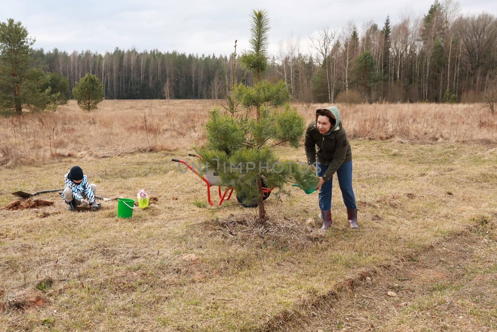 Volunteers are actively participating in a tree planting event, with one individual planting a young tree while another prepares to assist, surrounded by a natural landscape.